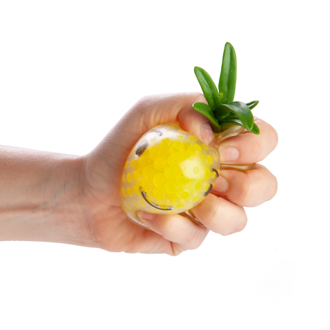   Squishy Bubble Pineapple