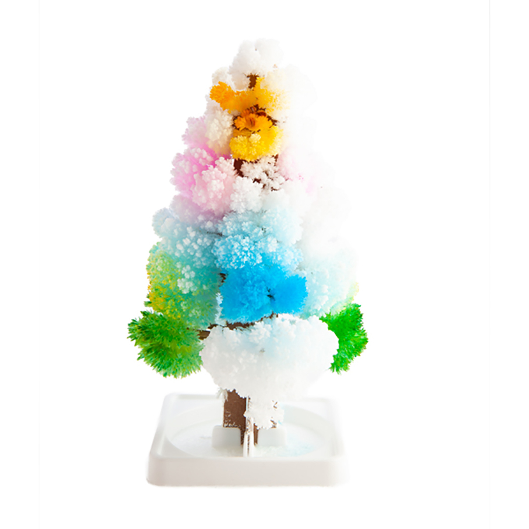   Grow Magic Rainbow Tree
