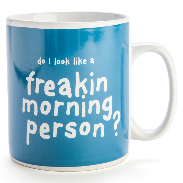 900ml Giant Coffee Mug 'DO I LOOK LIKE A FREAKIN MORNING PERSON'