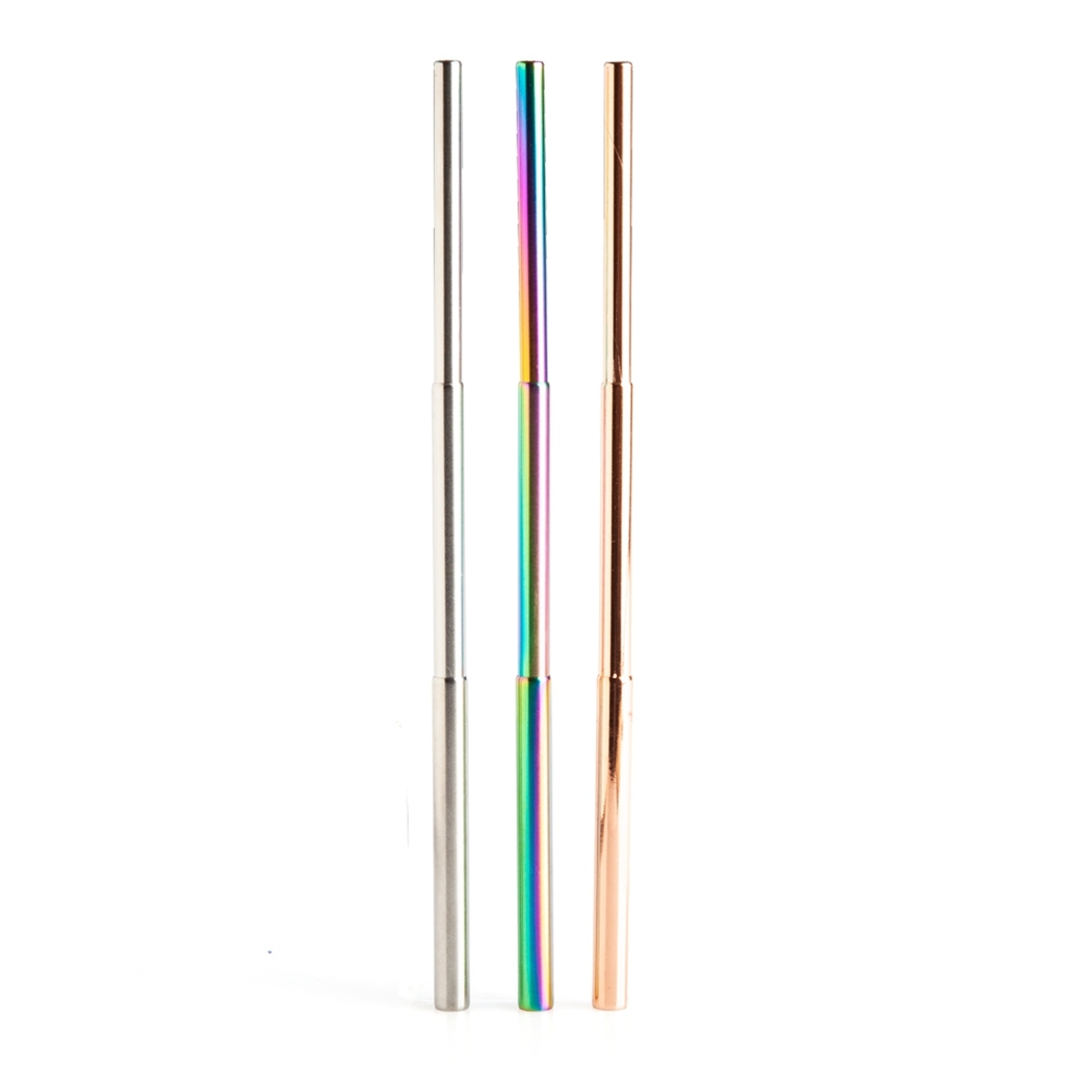   Eco-to-Go Steel Extendable Straw