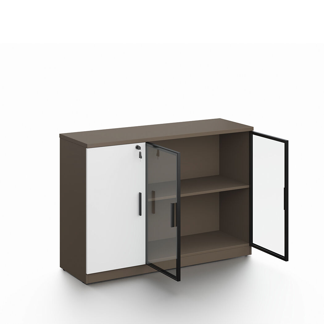   Esma Office Storage Cabinet  with  Lockable Door & Glass Display Unit