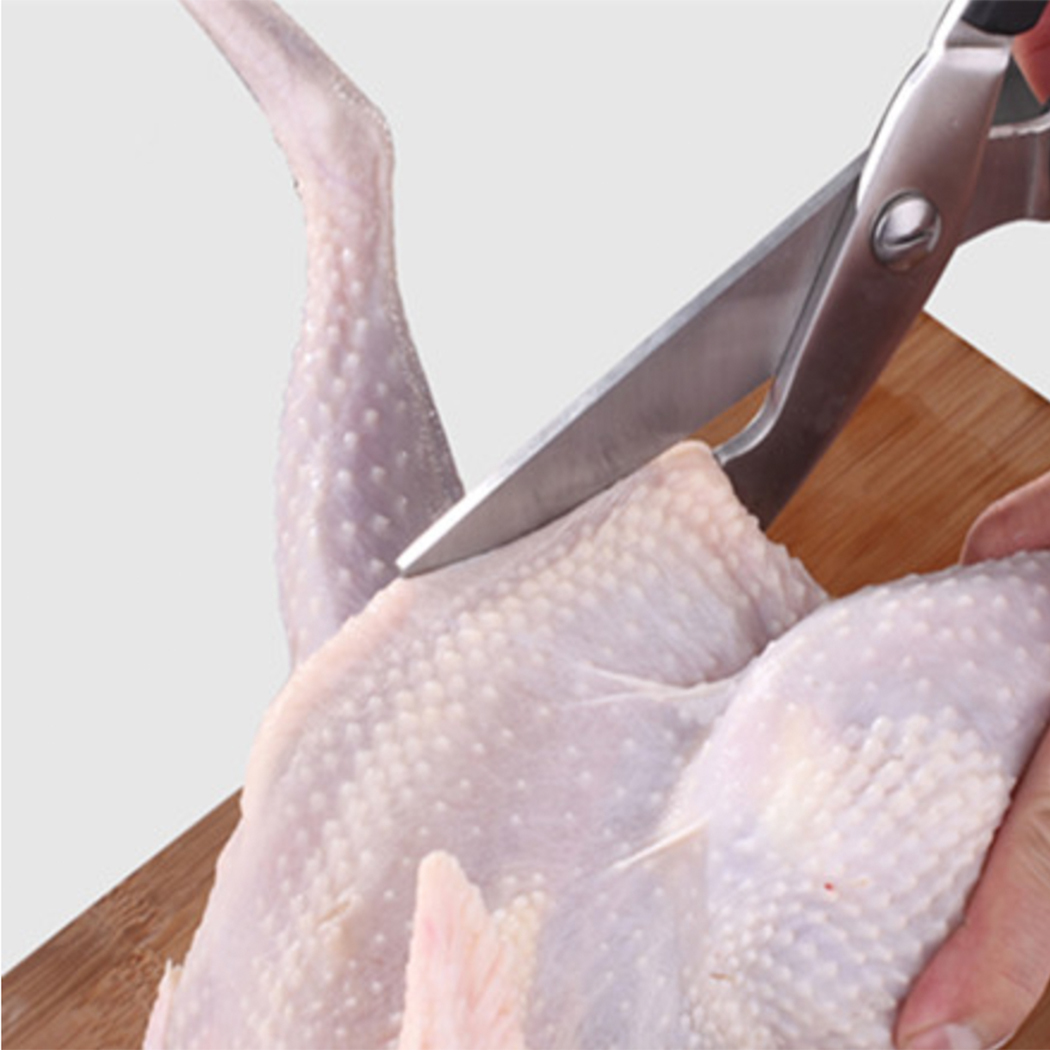 Premium Poultry Scissors 24cm