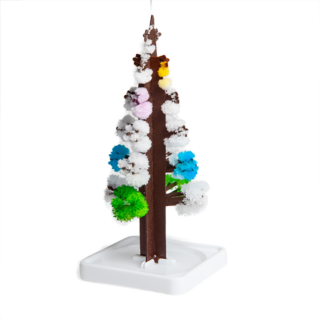  Grow Magic Rainbow Tree