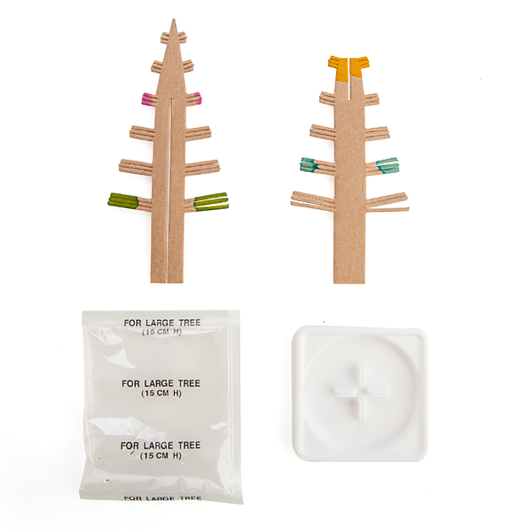   Grow Magic Rainbow Tree
