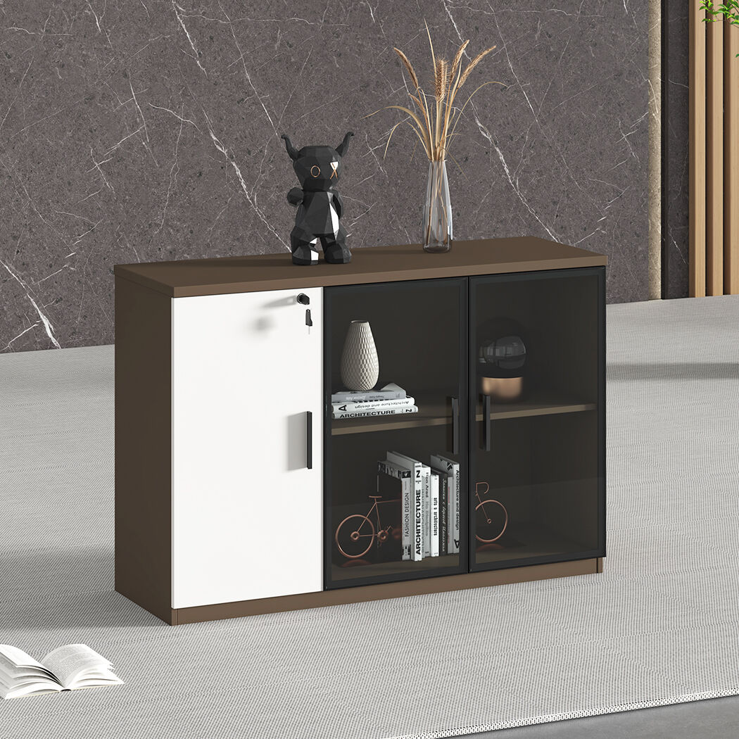   Esma Office Storage Cabinet  with  Lockable Door & Glass Display Unit