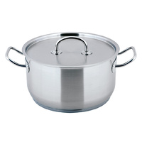 Pro-X Stainless Steel Stock Pot 24cm