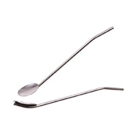 Casabarista Stainless Steel Spoon Straw 19cm