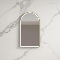 LED Mirror with Gold Metal Frame 3 Color Dimmable Lights 50x3.5x90cm