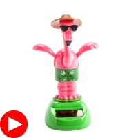 Flamingo Solar Dancer